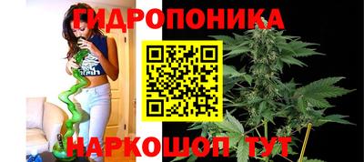 кокс Камышлов