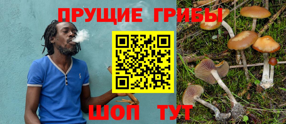 Людиново  Галлюциногенные грибы ЛСД  Вход с VPN 