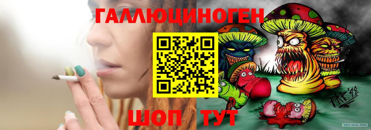 Псилоцибиновые грибы MAGIC MUSHROOMS Людиново